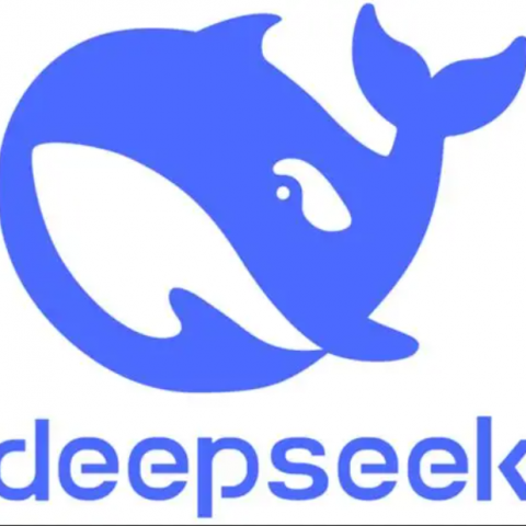 deepseek